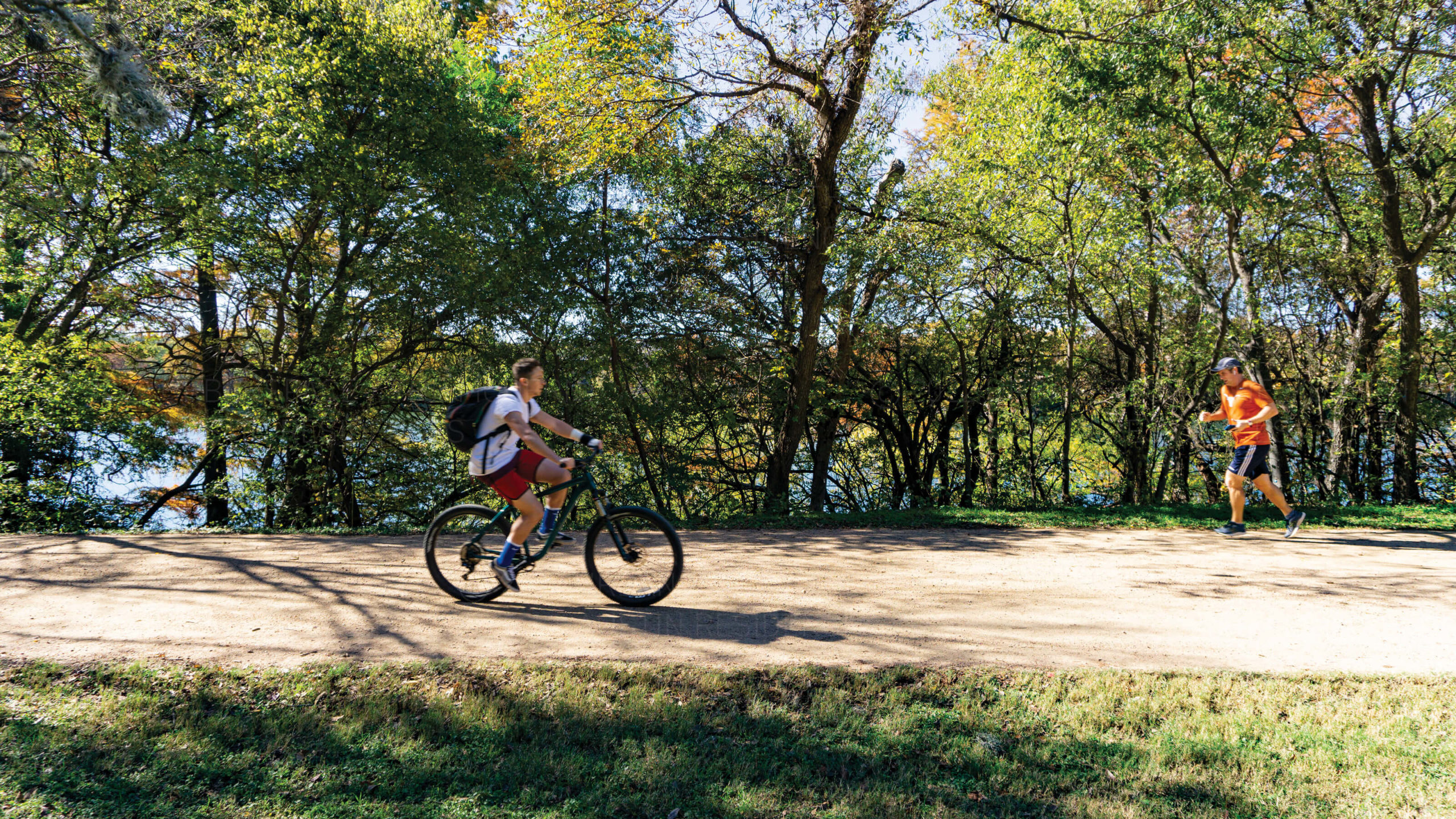 The Modern Austin neighborhood - Ann & Roy Butler Hike and Bike Trail