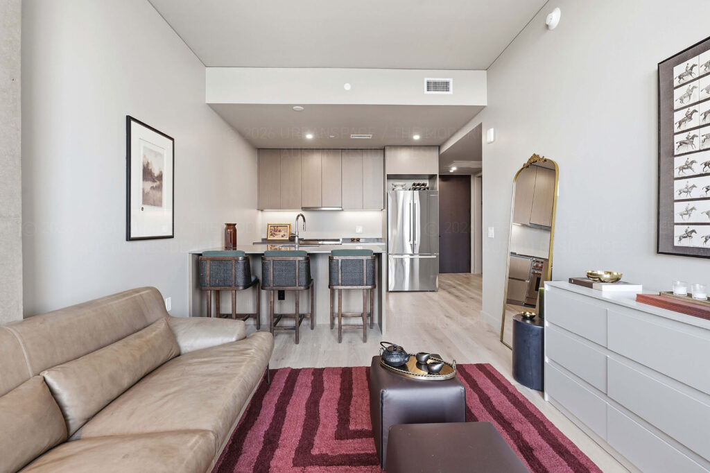Modern condo living room furniture and kitchen